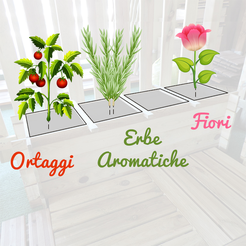 Orto Rialzato Diverse tipologie di piante Orto Rialzato Diverse tipologie di piante