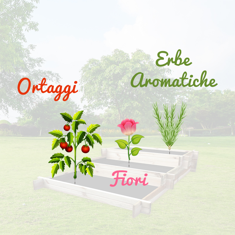 Orto Rialzato Diverse tipologie di piante Orto Rialzato Diverse tipologie di piante