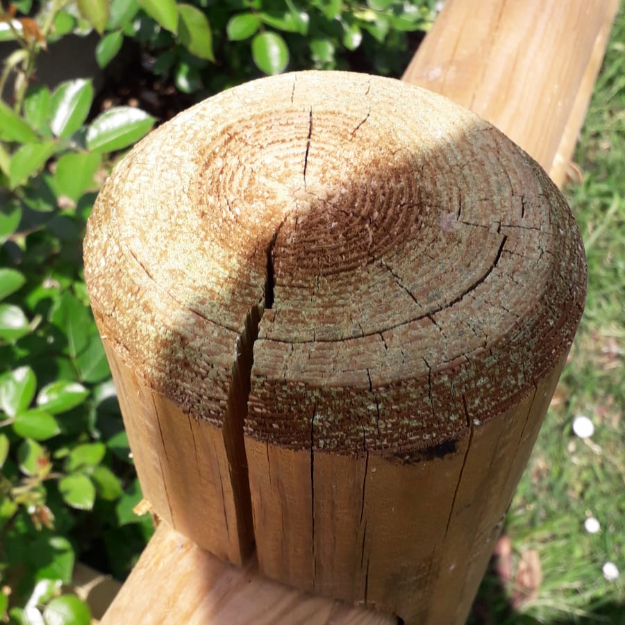 Trattamento in autoclave Trattamento in autoclave